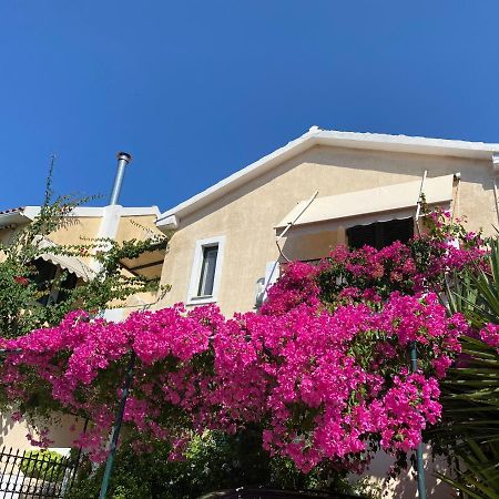 Minia Casa Buganvilla מראה חיצוני תמונה
