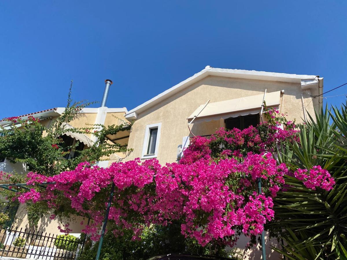 Minia Casa Buganvilla מראה חיצוני תמונה