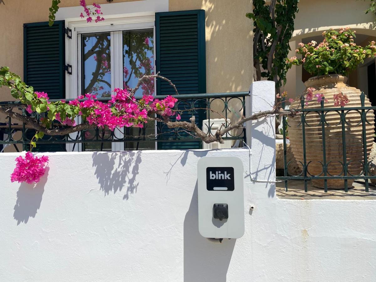 Minia Casa Buganvilla מראה חיצוני תמונה