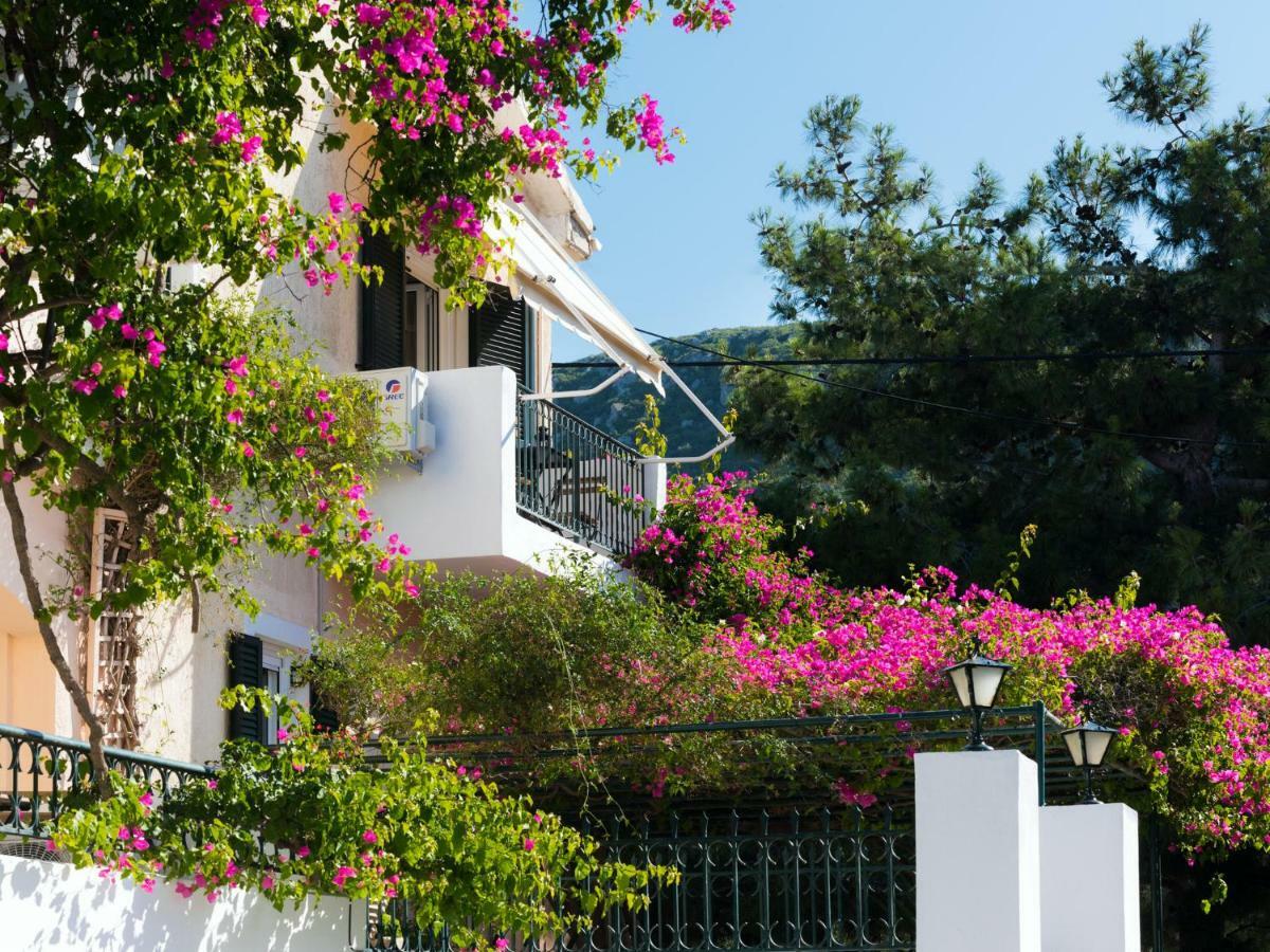 Minia Casa Buganvilla מראה חיצוני תמונה