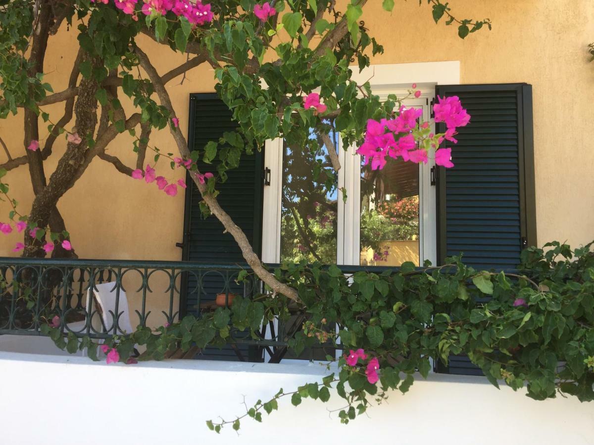 Minia Casa Buganvilla מראה חיצוני תמונה