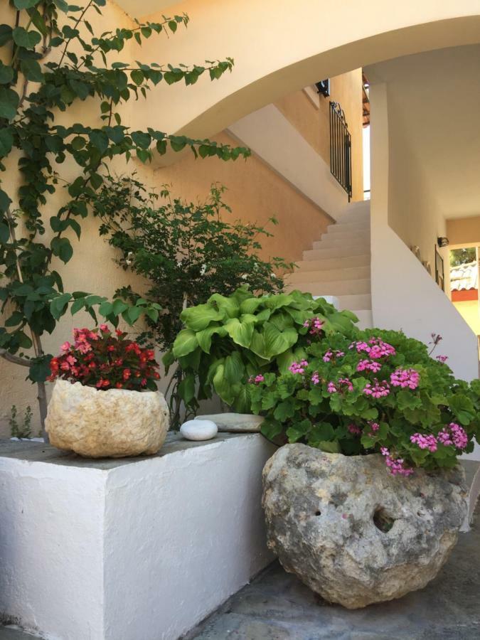 Minia Casa Buganvilla מראה חיצוני תמונה